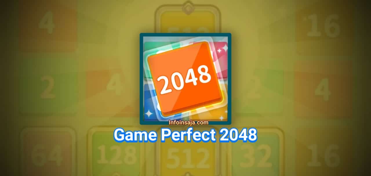 Game Perfect 2048