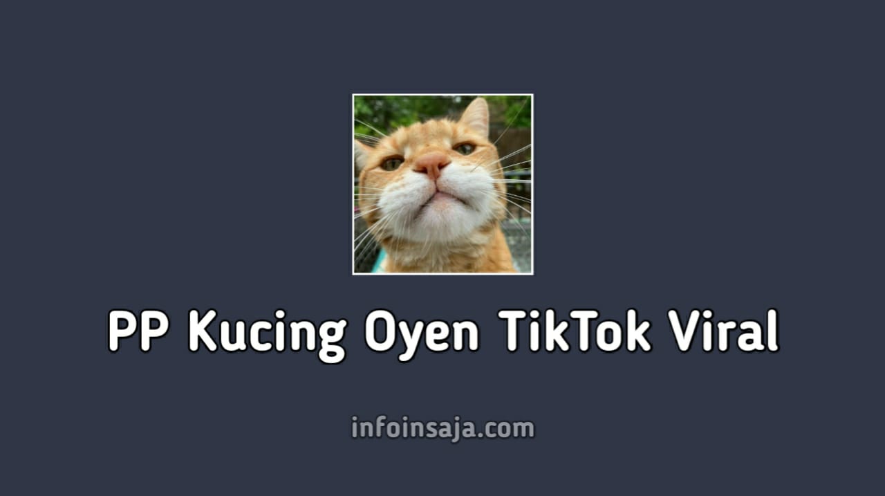 PP Kucing Oyen TikTok Viral