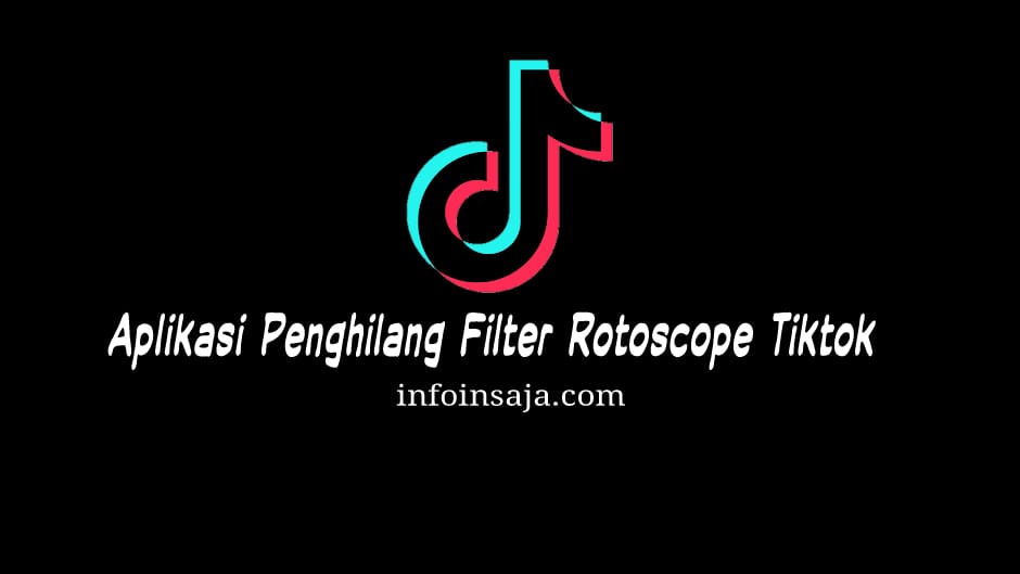Aplikasi Penghilang Filter Rotoscope Tiktok