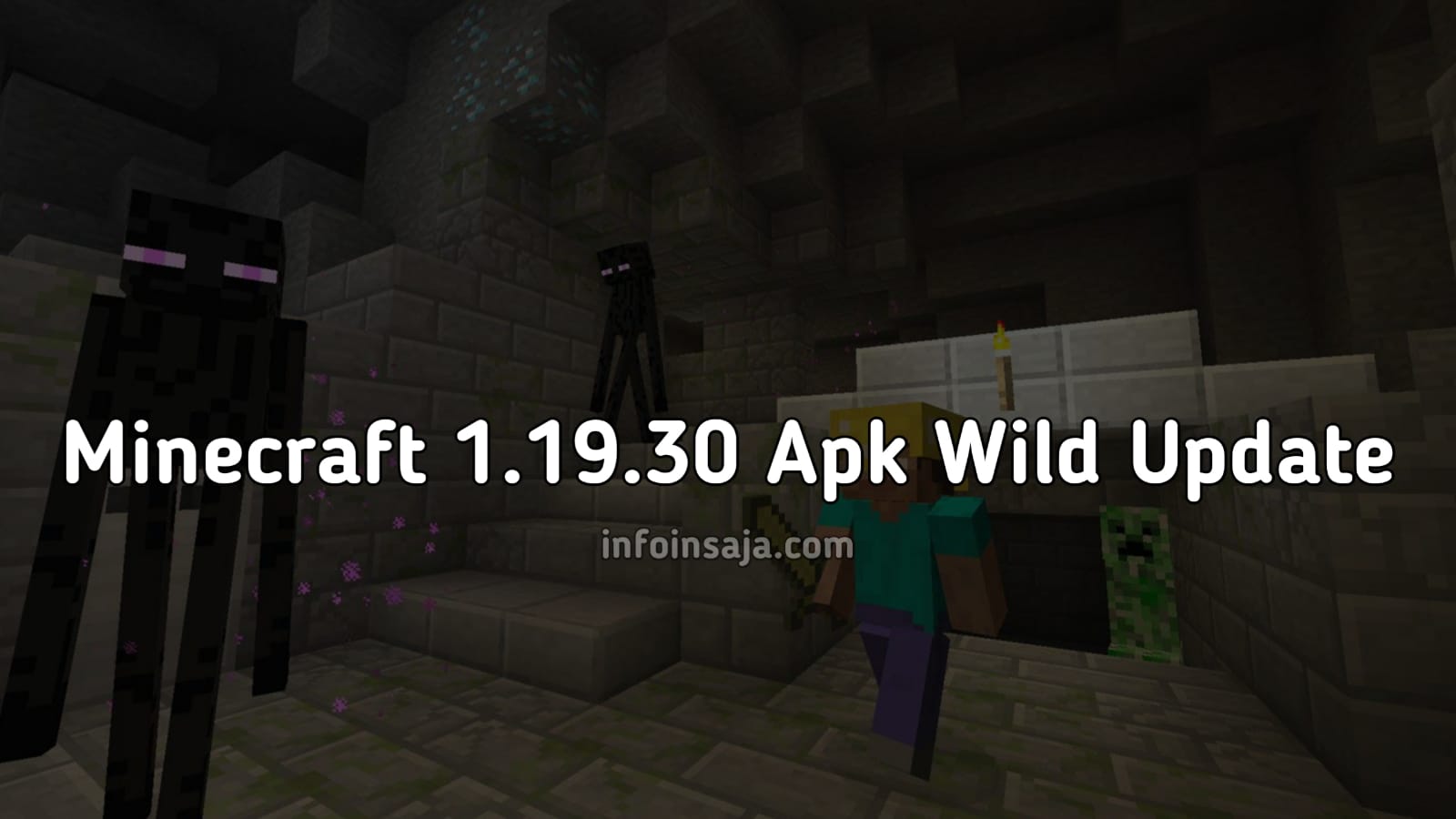 Download Minecraft 1.19.30